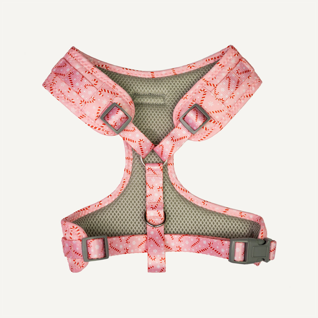 Dan & Sam - Dog Harness (Candy Cane Kisses) - Large