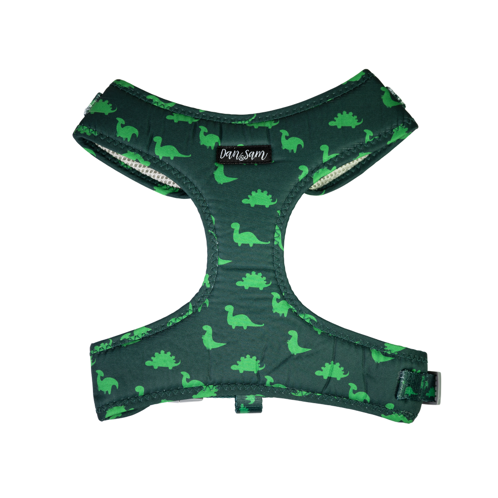 Dan & Sam - Dog Harness (Dinosaur Land) - Large