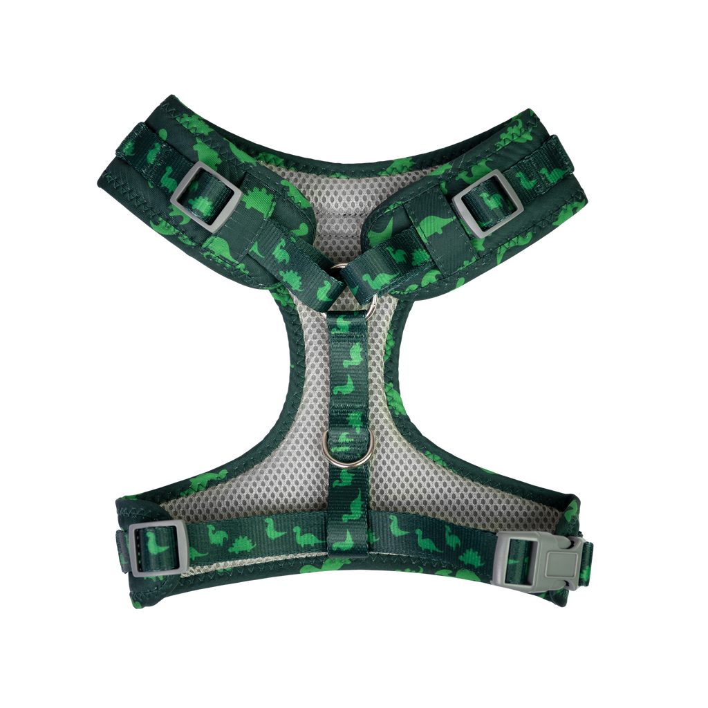 Dan & Sam - Dog Harness (Dinosaur Land) - Large