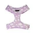 Dan & Sam - Dog Harness (Dreamer) - Medium