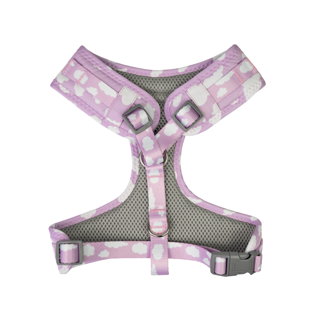 Dan & Sam - Dog Harness (Dreamer) - Large