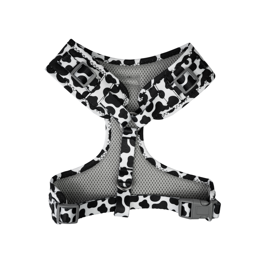 Dan & Sam - Dog Harness (Milkshake) - Small
