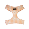 Dan & Sam - Dog Harness (Daisy Picnic) - Medium