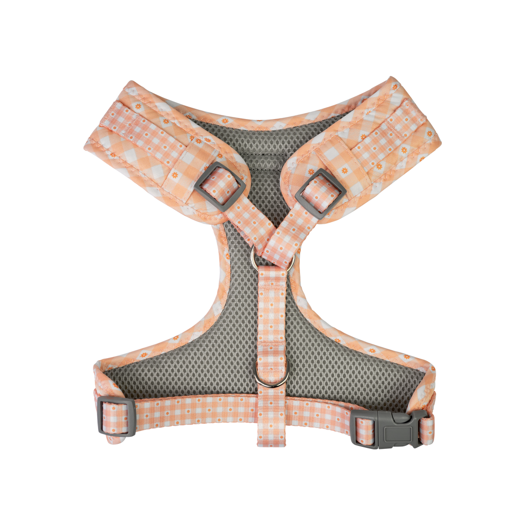 Dan & Sam - Dog Harness (Daisy Picnic) - X-Small
