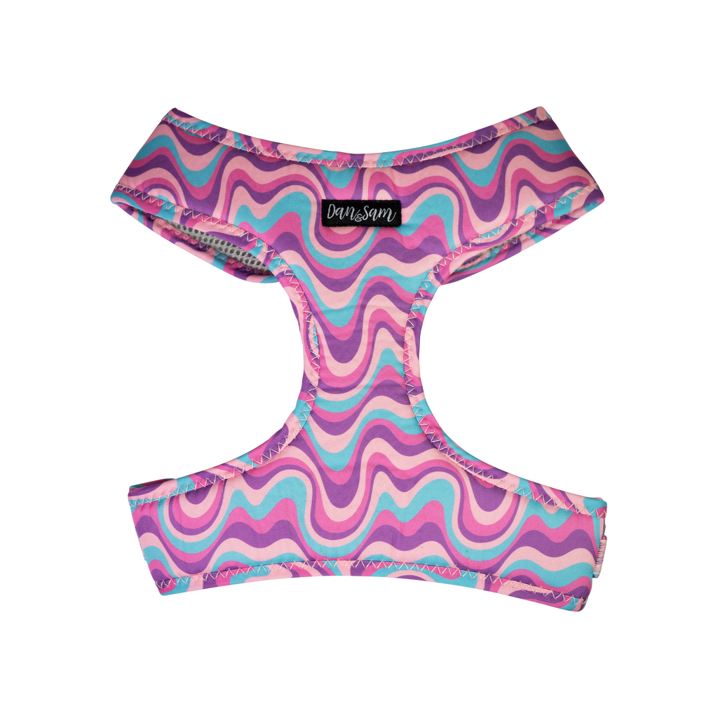 Dan & Sam - Dog Harness (Disco Party) - Medium