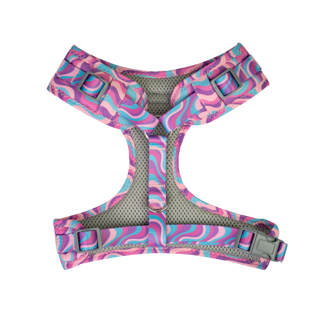 Dan & Sam - Dog Harness (Disco Party) - Medium