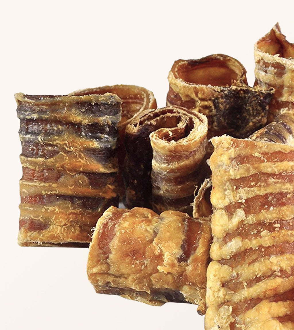 Beef Trachea