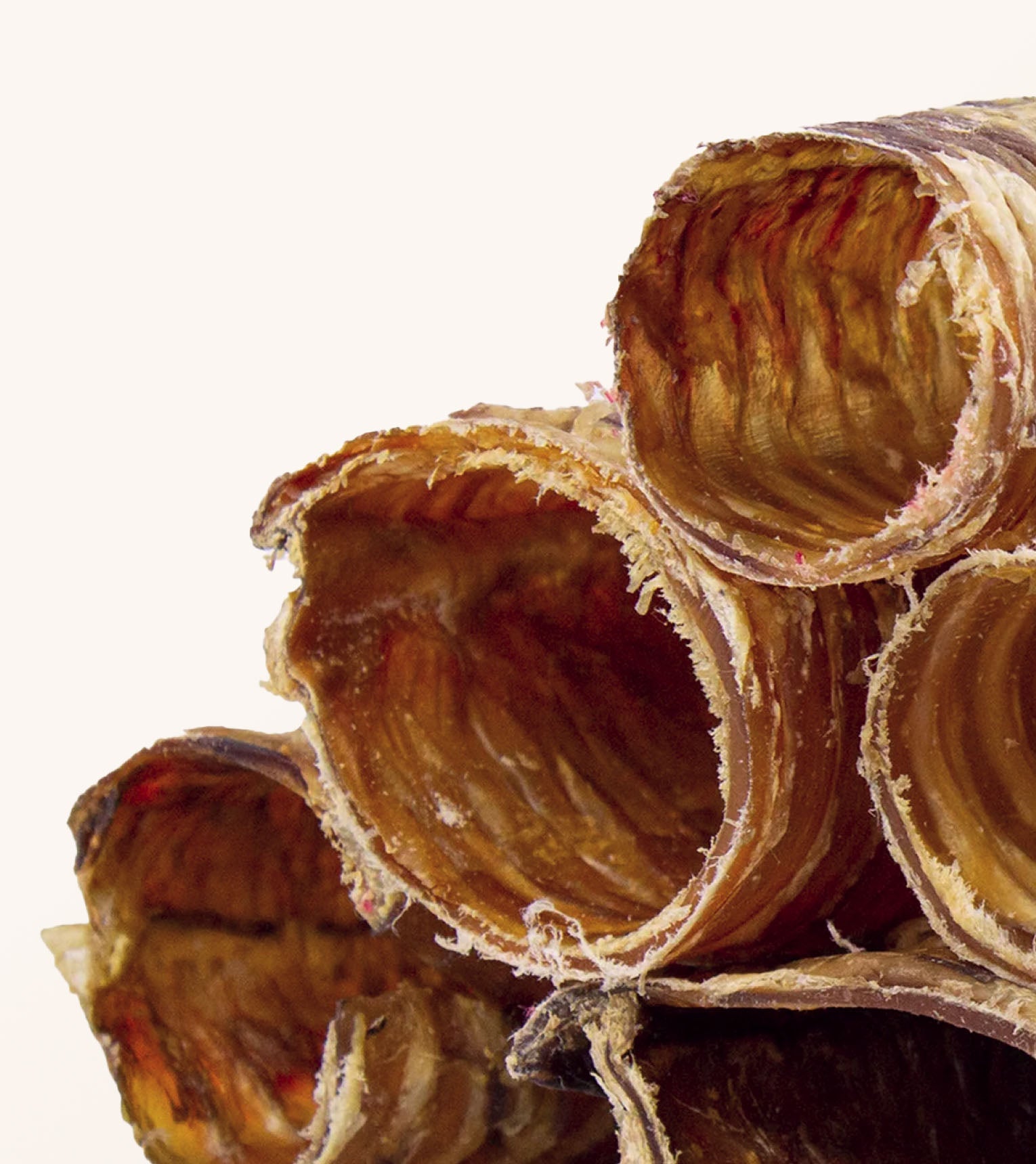 Beef Trachea