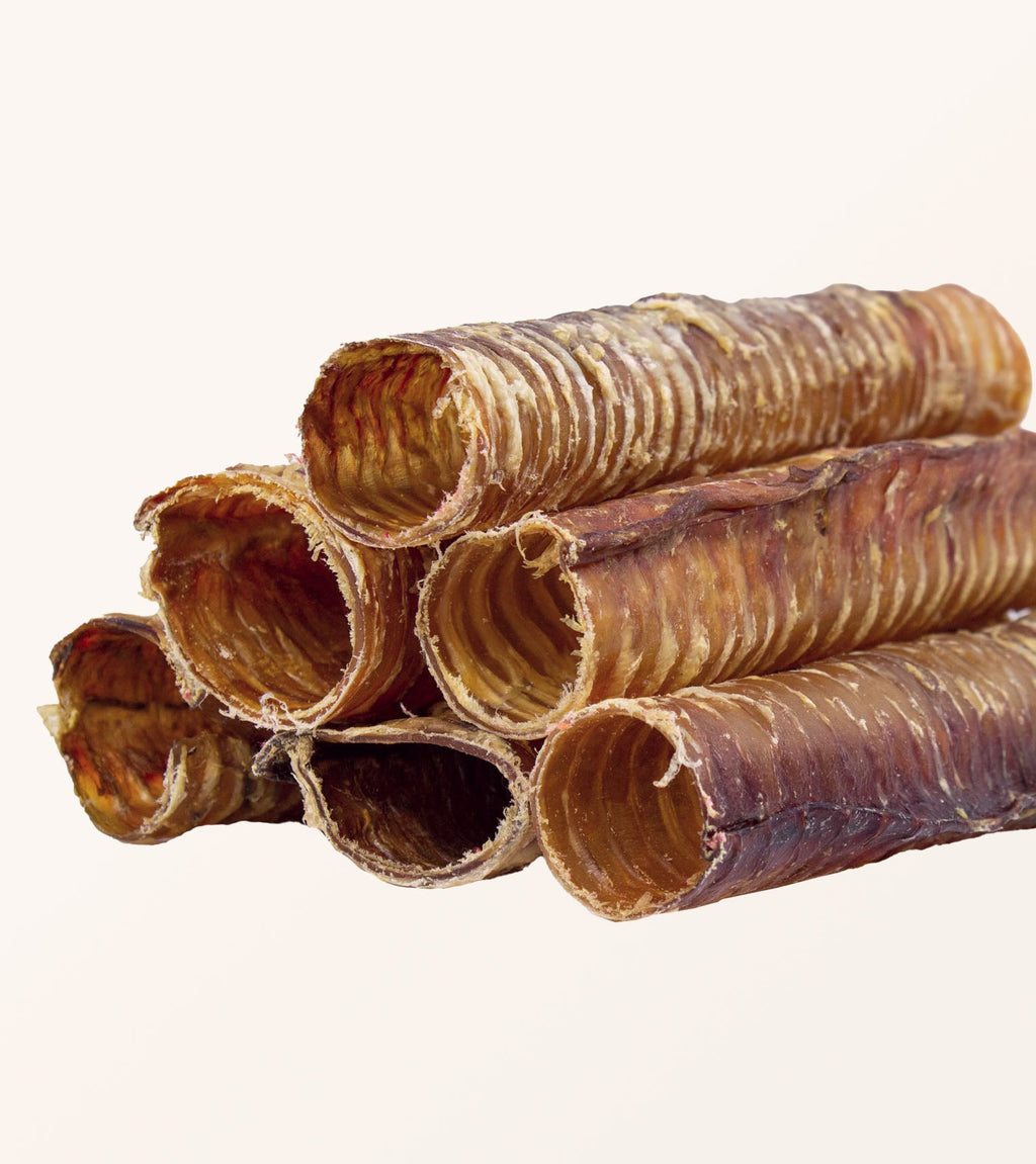 Beef Trachea