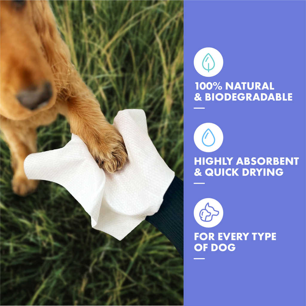 DotDotPet Biodegradable Mini Eco Dog Towels - 10 Pack