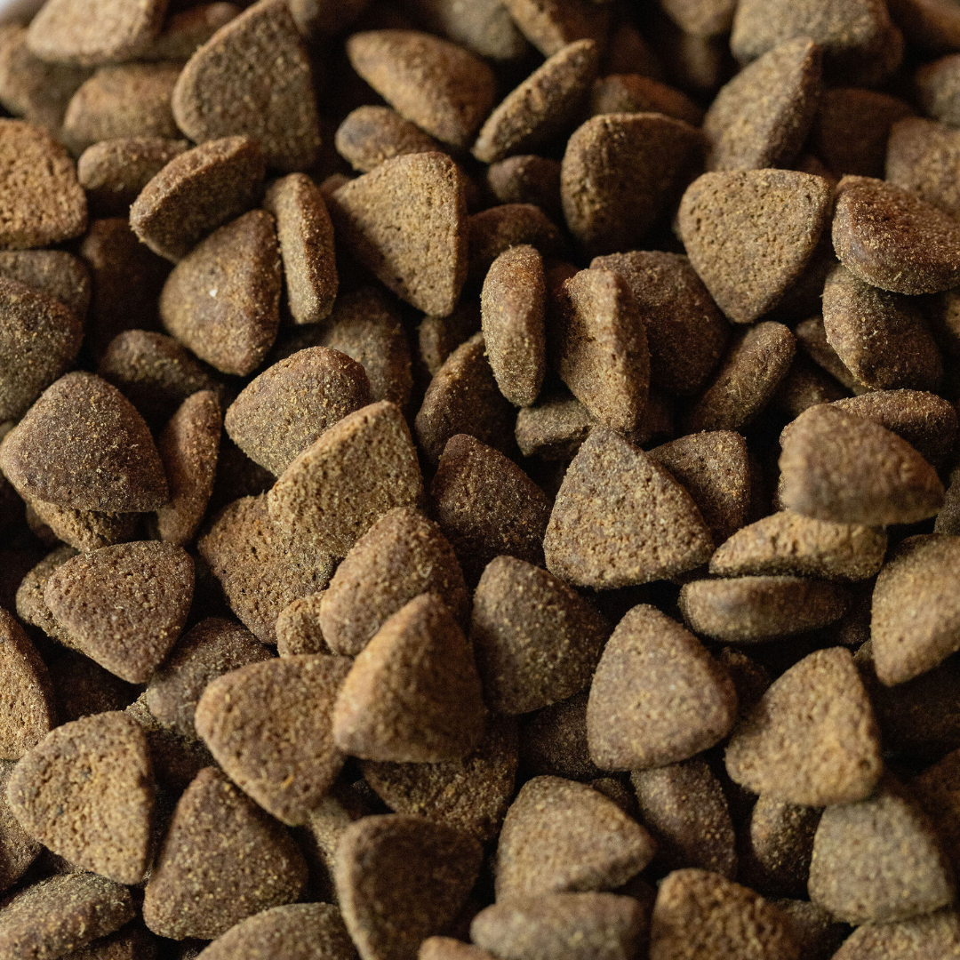 SayGrace Superfood Adult Grassland Blend Responsibly Raised Angus Beef Dry Dog Food
