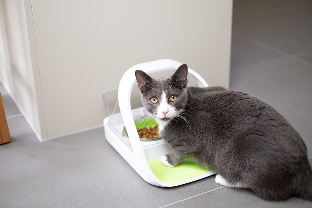 SureFeed Microchip Pet Feeder Connect And Hub