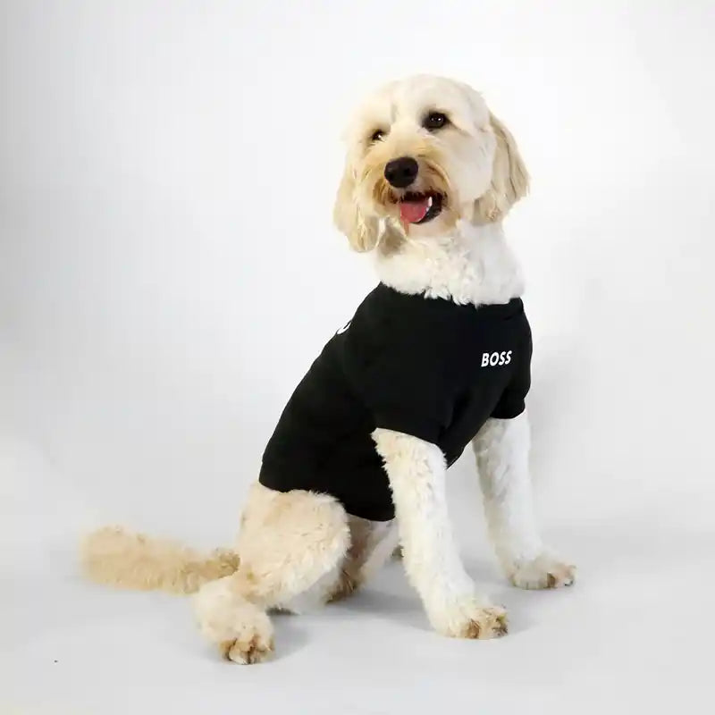 BOSS Dog Sweater