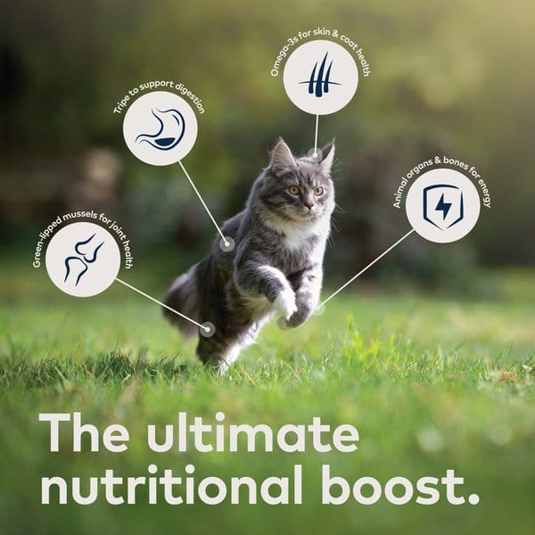 ZIWI Peak Air-Dried Beef Recipe For Cats