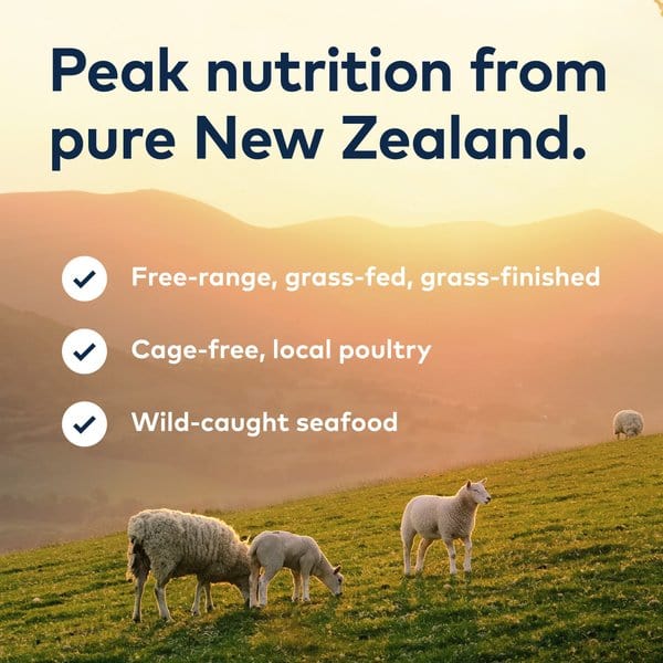 ZIWI Peak Air-Dried Beef Recipe For Cats